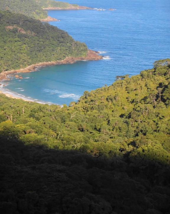 Mirante da Mata em Trindade, Paraty